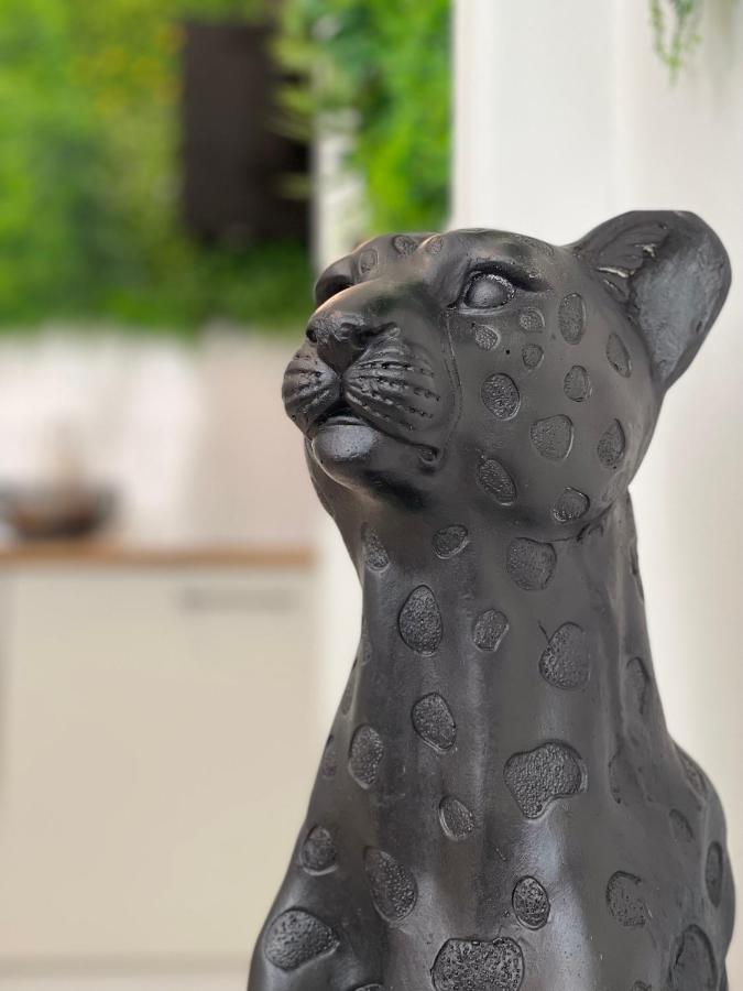 Tous'O'Zoo, Au Coeur Du Centre-Ville Saint-Aignan  Eksteriør bilde