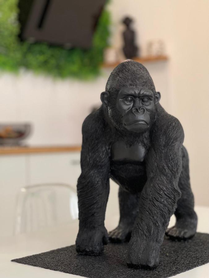 Tous'O'Zoo, Au Coeur Du Centre-Ville Saint-Aignan  Eksteriør bilde